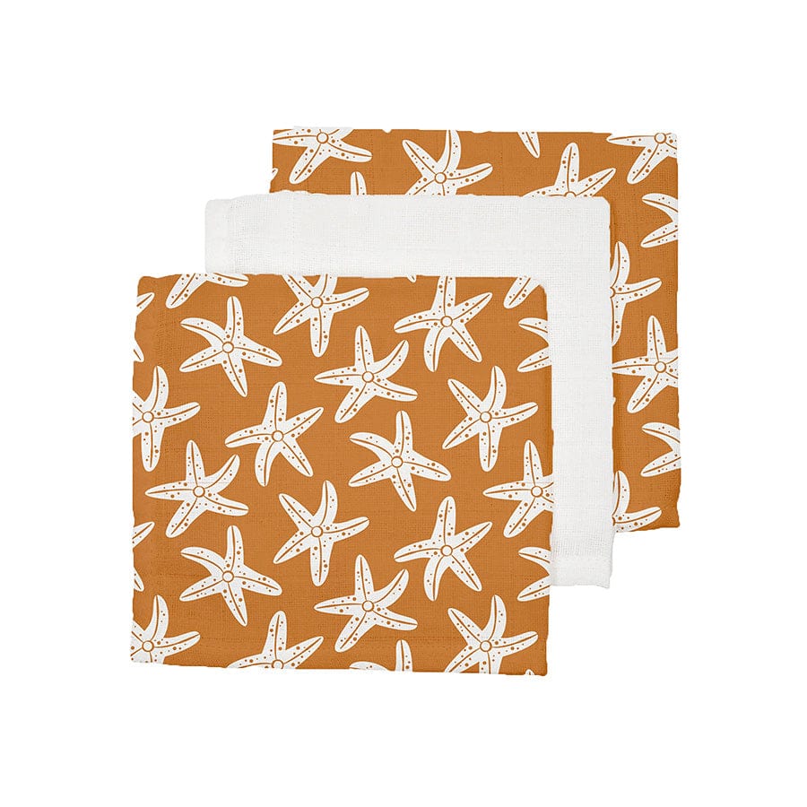 Hydrophilic Cloths - Orange - Seastar - 25 x 25 cm