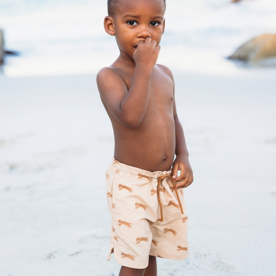 Swim Shorts - Brown - Roamer