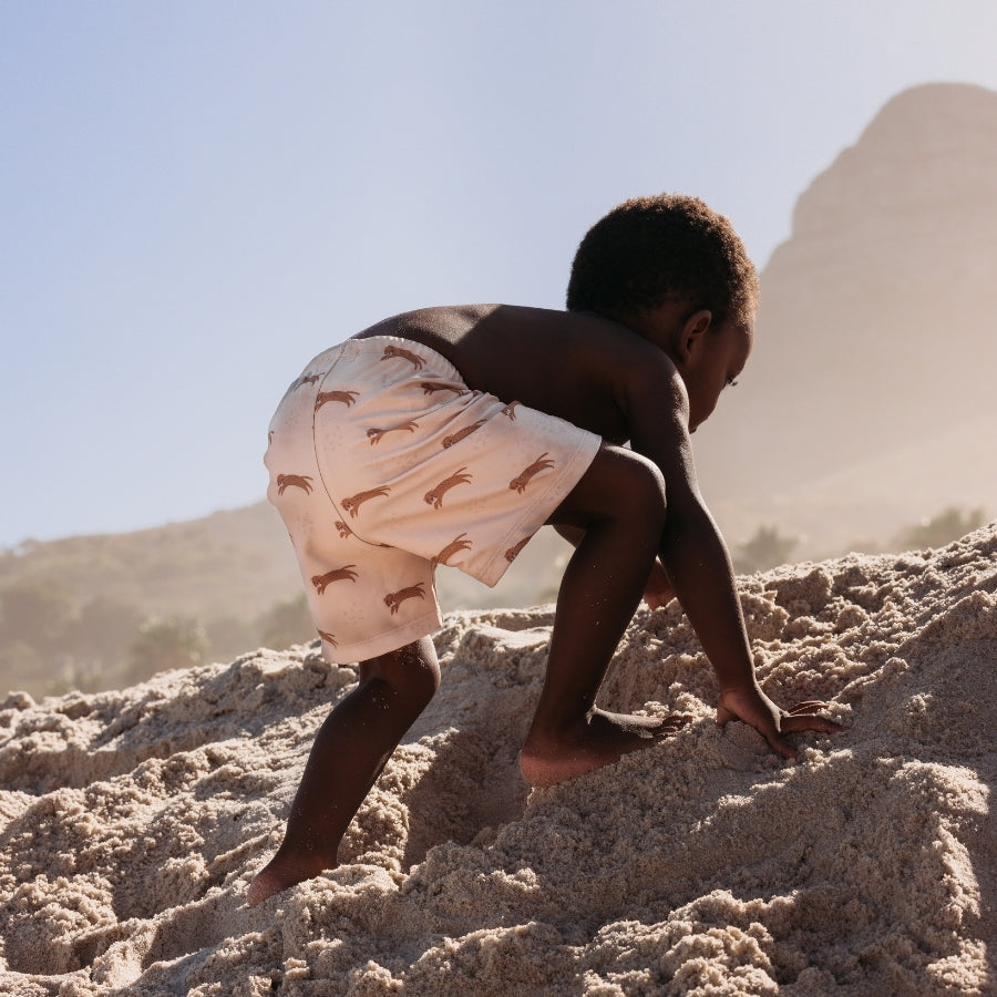 Swim Boxer - Brown - Roamer