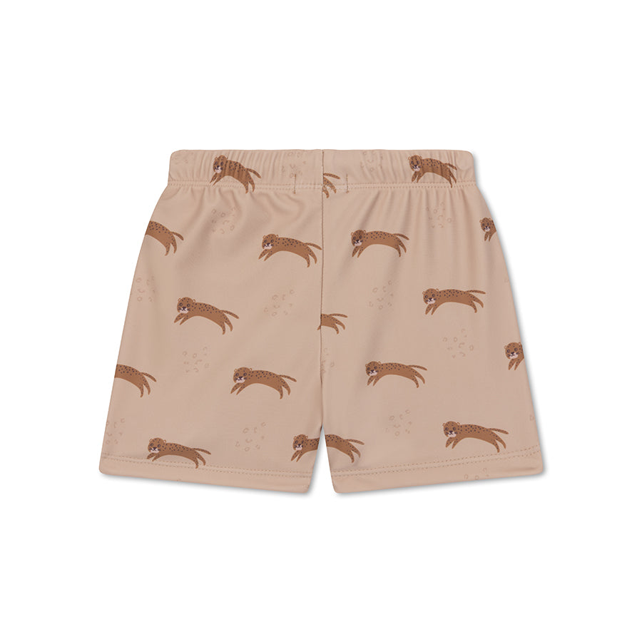 Swim Boxer - Brown - Roamer