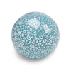 Beachball - Transparent - Leopard