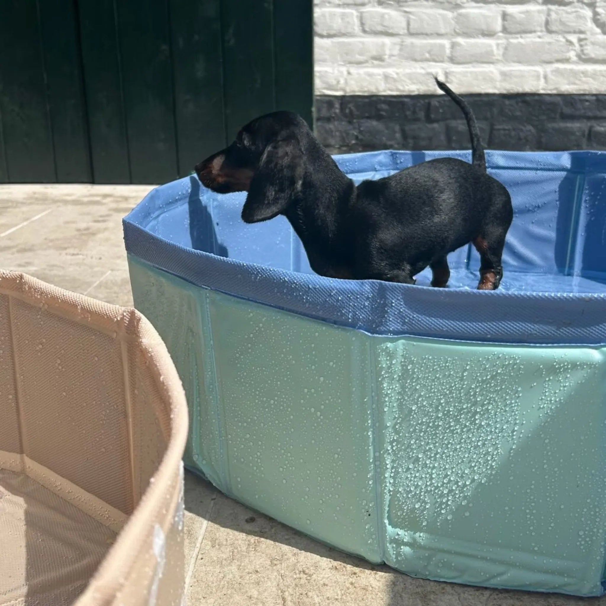 Dog Pool - Mint Green - Blues - Ø 80 cm