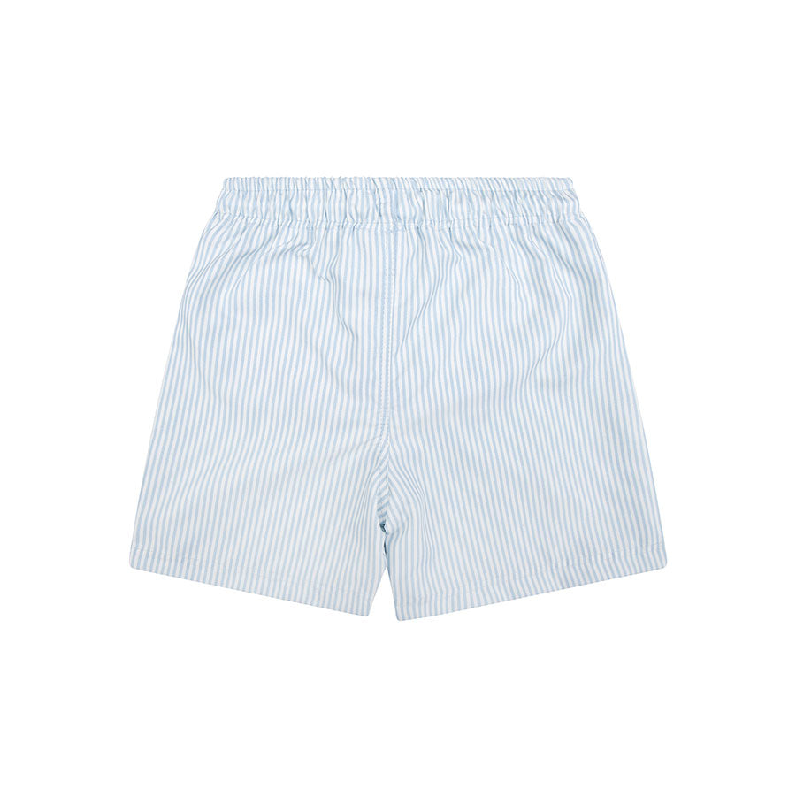 Swim Shorts - Blue/White - Blue Stripes