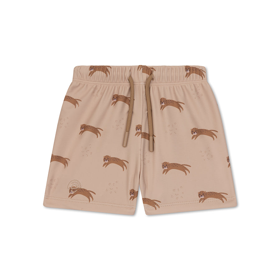 Swim Boxer - Brown - Roamer