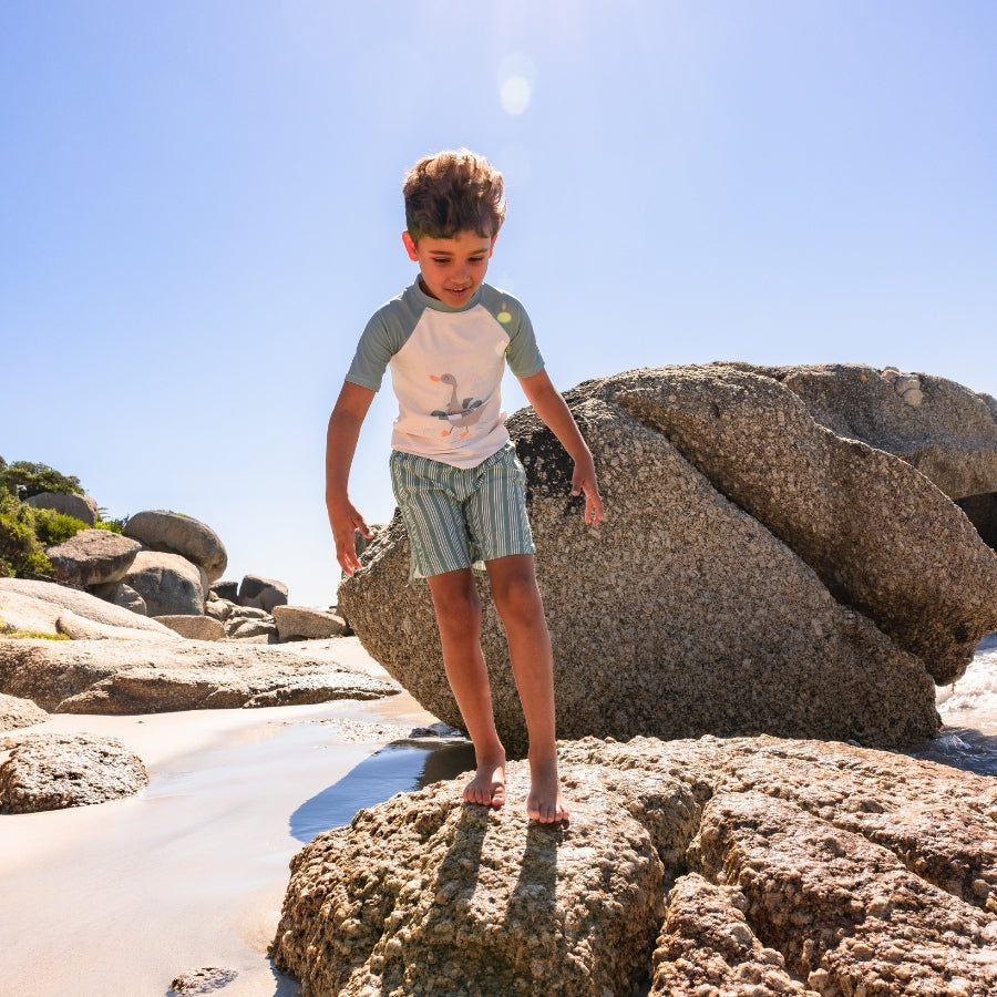 Swimming T-Shirt - Short Sleeve - Green - Resort Stripe